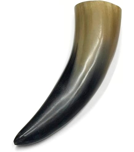 Amazon.com: 6-10